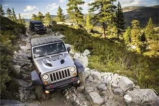 国产卢比肯越野视频,征服崎岖路况展现卓越性能  第2张