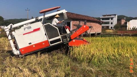 国产收割机烂田视频播放,视频曝光引发热议 第1张 国产收割机烂田视频播放,视频曝光引发热议 第1张