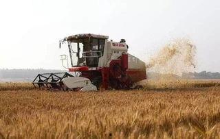 国产收割机烂田视频播放,视频曝光引发热议 第3张 国产收割机烂田视频播放,视频曝光引发热议 第3张