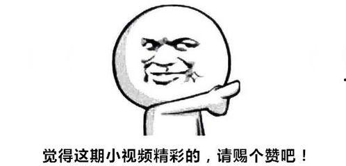 老司机深夜视频国产  第3张