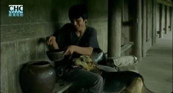 国产人视频日本电影网,揭秘日本电影网背后的精彩世界  第3张